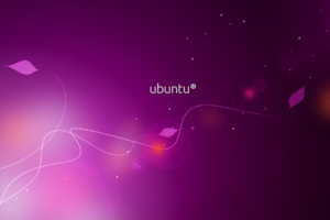 Ubuntu Purple4992314376 300x200 - Ubuntu Purple - Ubuntu, Purple, Kombat
